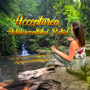 1.4. Acceptarea adolescentului rebel