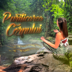 1.1. Purificarea Corpului