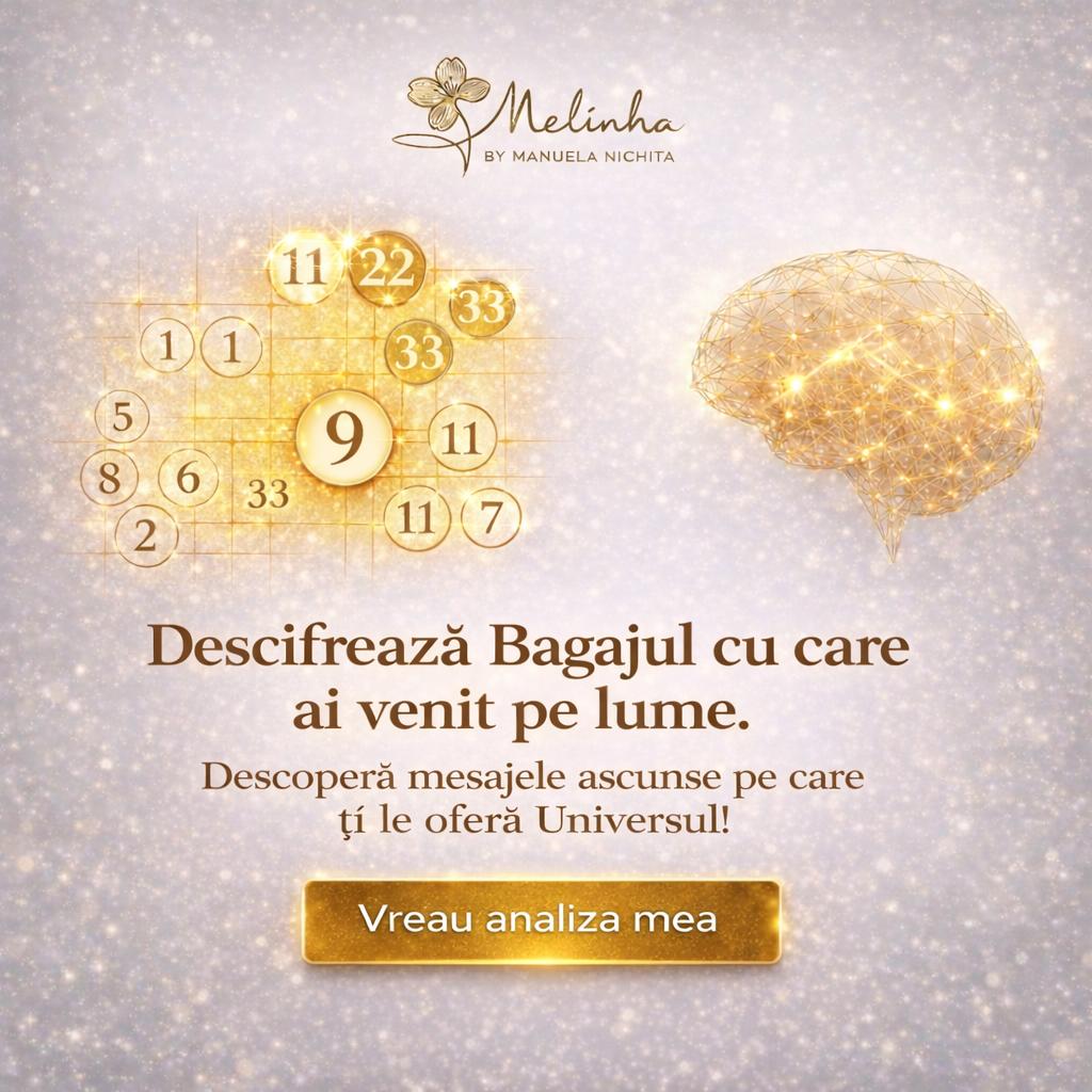 Analiza Matricei Psiho-Energo-Informaționale